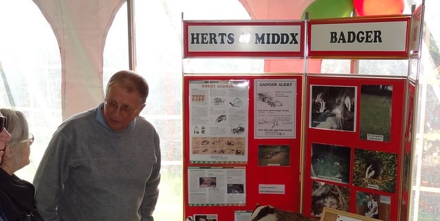 Keith Higby on the Badger Group stand that always features at our Apple Days - the Group help manage the Badger Hide